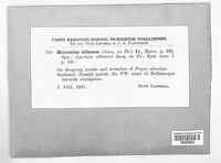 Image Associated With the Occurrence